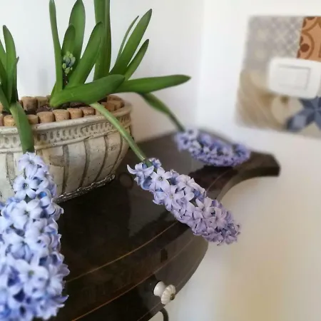 Dimora Modestina * Сиракузы