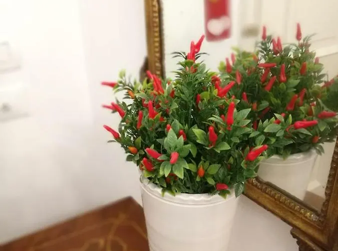 Dimora Modestina Appartement
