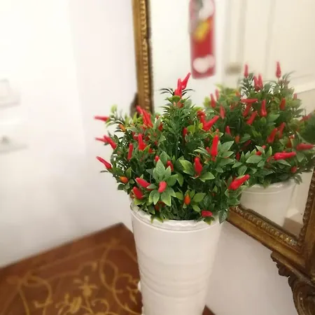 Dimora Modestina Apartment